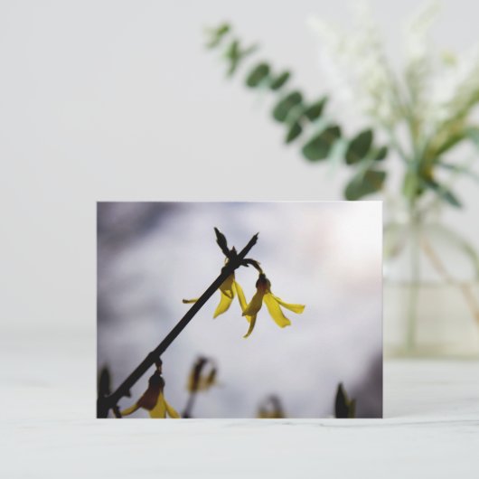 Forsythia Feestdagenkaart (Staand voorkant)