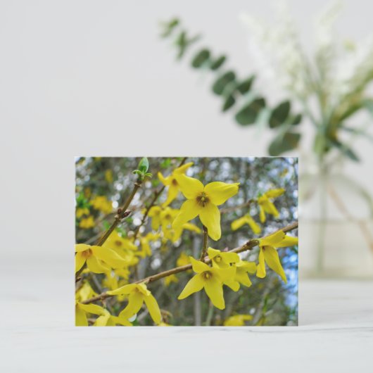 Forsythia in de lente briefkaart (Staand voorkant)