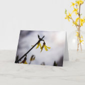 Forsythia in de lente kaart (Gele Bloem)