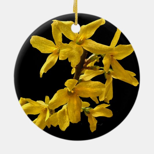 Forsythia Ornament (Achterkant)