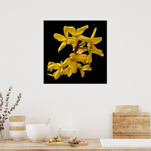 Forsythia Print (Keuken)