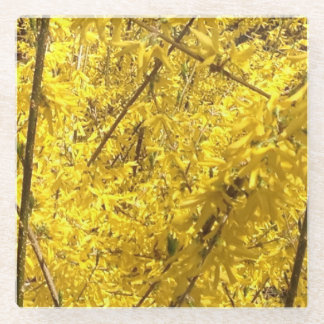 Forsythia Spring Blossoming Glazen Onderzetter