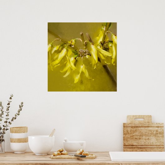 Forsythia - Springtime Sunshine Poster (Keuken)