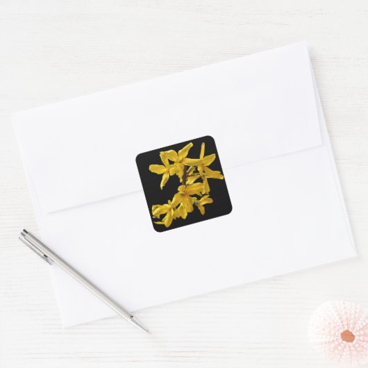 Forsythia-Stickers Vierkante Sticker (Envelop)