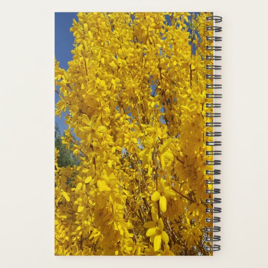 Forsythia Struik Up Close Planner (Achterkant)