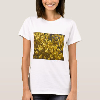Forsythia T-shirt