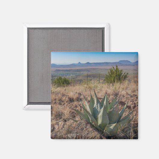Fort Davis Mountains Agave Magneet (Voorkant / Achterkant)