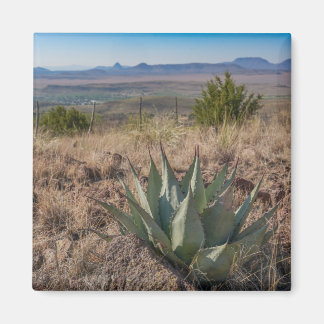 Fort Davis Mountains Agave Magneet