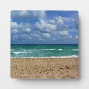 Fort Lauderdale, Florida Fotoplaat