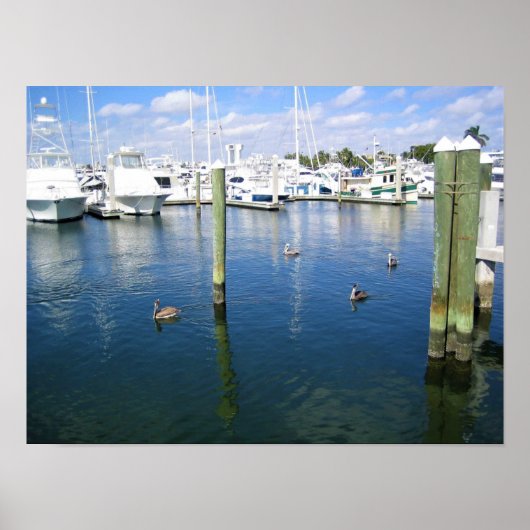 Fort Lauderdale, Florida Poster (Voorkant)