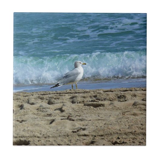 Fort Lauderdale, Florida Tegeltje (Voorkant)