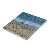 Fort Lauderdale, Florida Tegeltje (Zijkant)