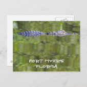 Fort Myers Alligator Card Briefkaart (Voorkant / Achterkant)