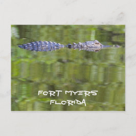 Fort Myers Alligator Card Briefkaart