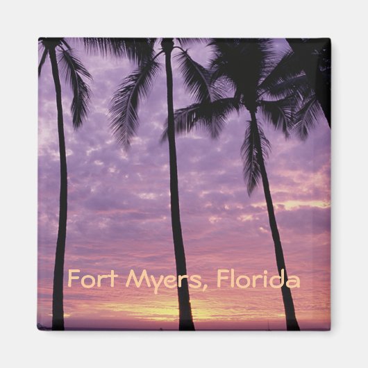 Fort Myers, Florida Foto Souvenir Koelkast Magnet (Voorkant)