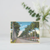 Fort Myers, Florida MacGregor Boulevard Briefkaart (Staand voorkant)