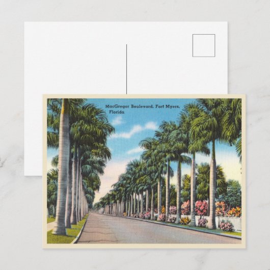 Fort Myers, Florida MacGregor Boulevard Briefkaart (Voorkant / Achterkant)