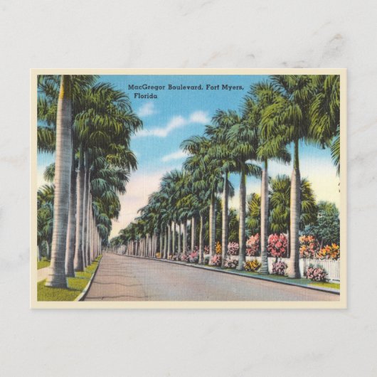 Fort Myers, Florida MacGregor Boulevard Briefkaart (Voorkant)