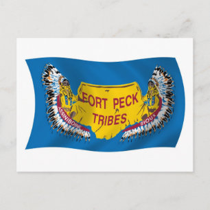 Fort Peck Assiniboine Vlag Postkaart