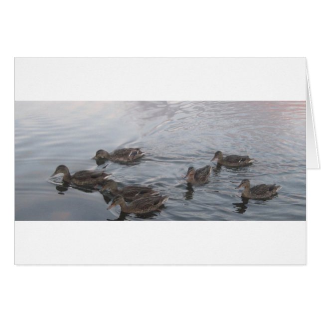 FORT RICHARDSON ALASKA (Voorkant Horizontaal)