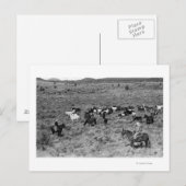 Fort Rock, Oregon Cowboy in de tuin van de duivel Briefkaart (Voorkant / Achterkant)