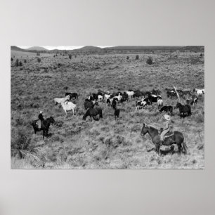 Fort Rock, Oregon Cowboy in de tuin van de duivel Poster