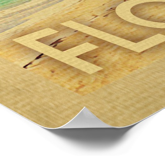 Fort Walton Beach Poster Palm Tree (Hoek)