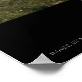 Fort Worth - Dallas , Texas from Space Poster (Hoek)