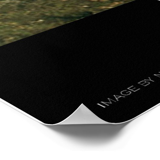 Fort Worth - Dallas , Texas from Space Poster (Hoek)