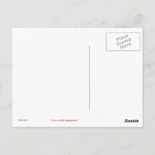 Fort Worth Texas Briefkaart (Achterkant)