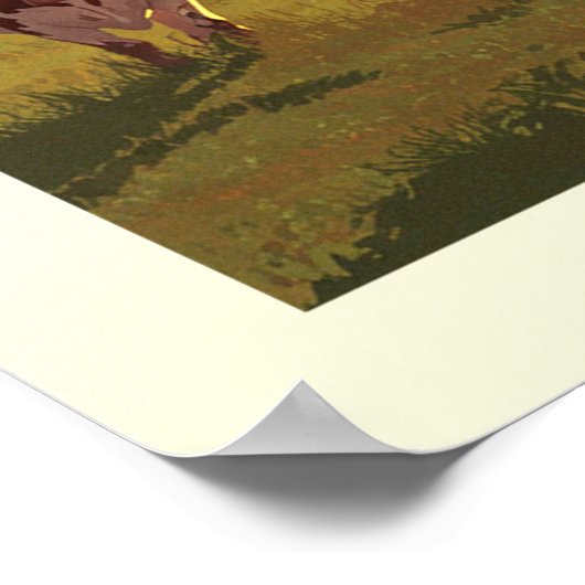  Fort Worth, Texas Poster (Hoek)