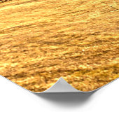 Fort Worth, Texas Poster (Hoek)