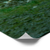 Forth Bridge (niet voltooid) Poster (Hoek)