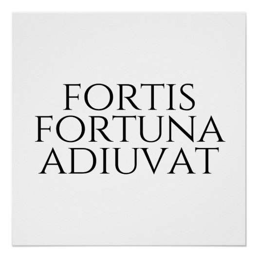 Fortis Fortuna Adiuvat Perfect Poster (Voorkant)
