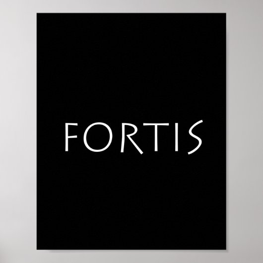 Fortis Poster (Voorkant)