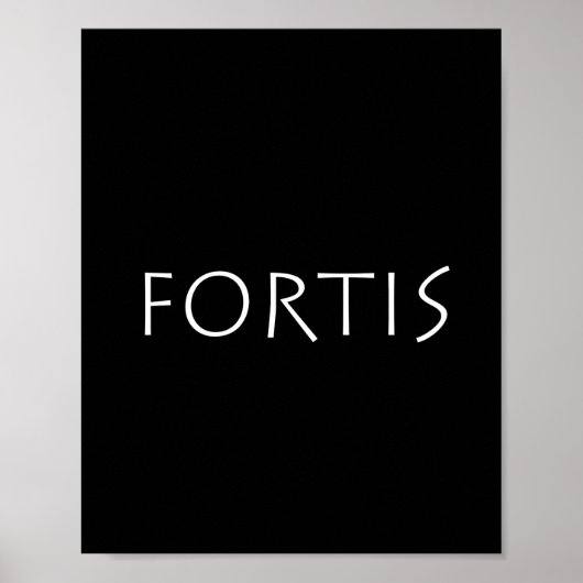 Fortis Poster (Voorkant)