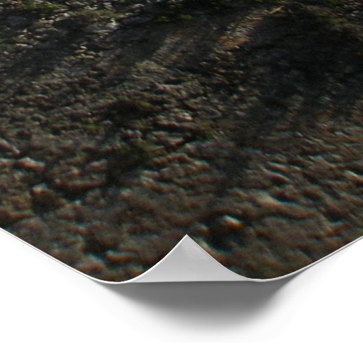 Fortress Wall Poster (Hoek)