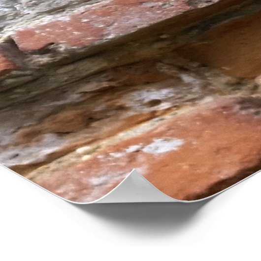 fortuinwandvenster poster (Hoek)