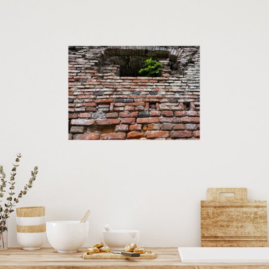 fortuinwandvenster poster (Keuken)