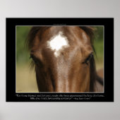 FORTUNATE ~ Chestnut Horse Photo Poster (Voorkant)