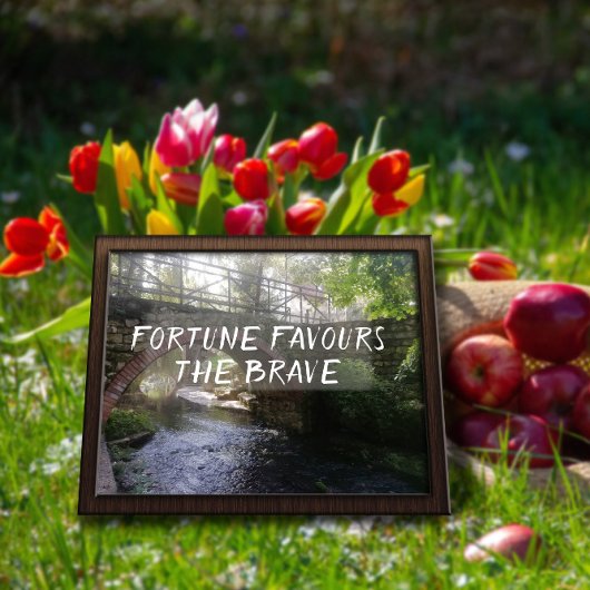 Fortune bevoordeelt het moedige poster van de prov