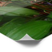 Fortune is fictief gezegde poster (Hoek)