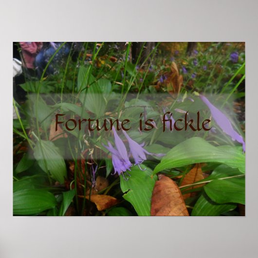 Fortune is fictief gezegde poster (Voorkant)