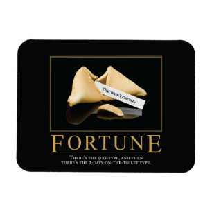 Fortune Motivatie Parody Magnets Magneet