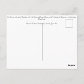 Forum Rome Italië Briefkaart (Achterkant)