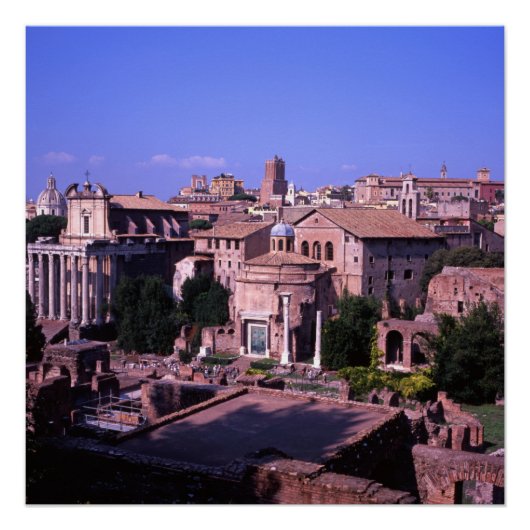 Forum Rome Italië Perfect Poster (Voorkant)