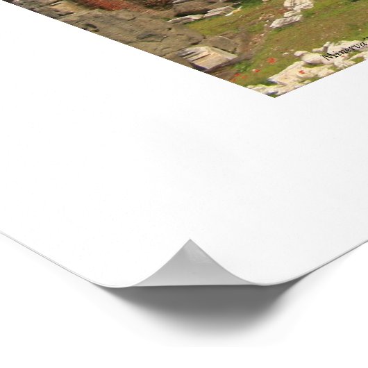 Forum van het Poster Nerva (Hoek)