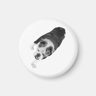 Forward Step Dog Adds Momentum To Holiday Spaces Magneet