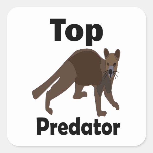 Fossa Madagaskar vleesetend toppredator Vierkante Sticker (Voorkant)