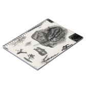 fossiel, dinosaurus, paleontologie, fossielen, sch notitieboek (Linkerzijde)